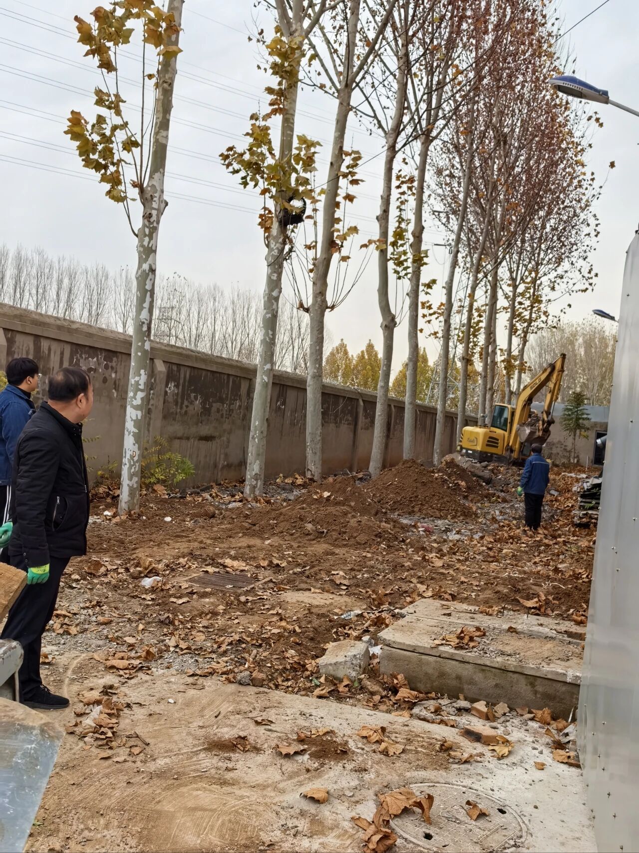 新澳门免费原料网大全