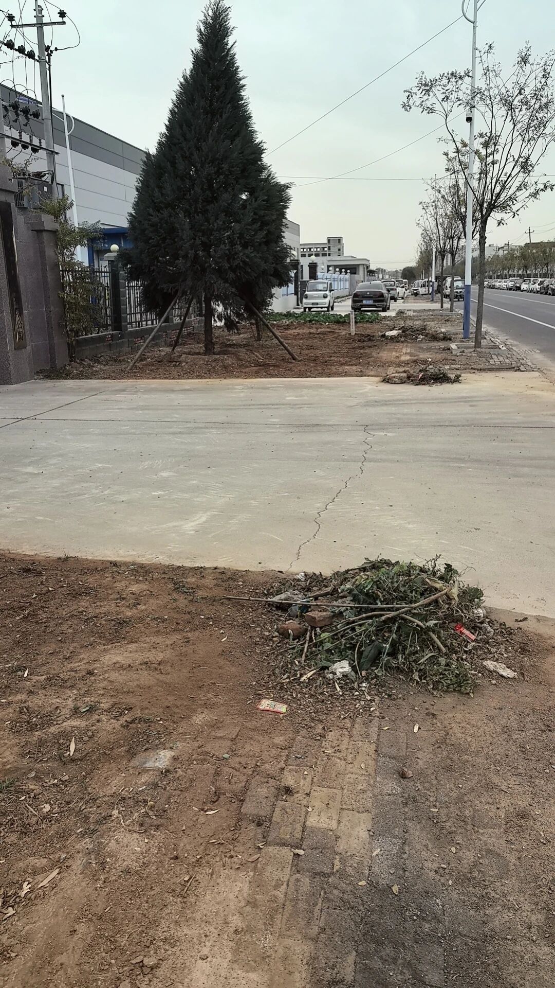 新澳门免费原料网大全